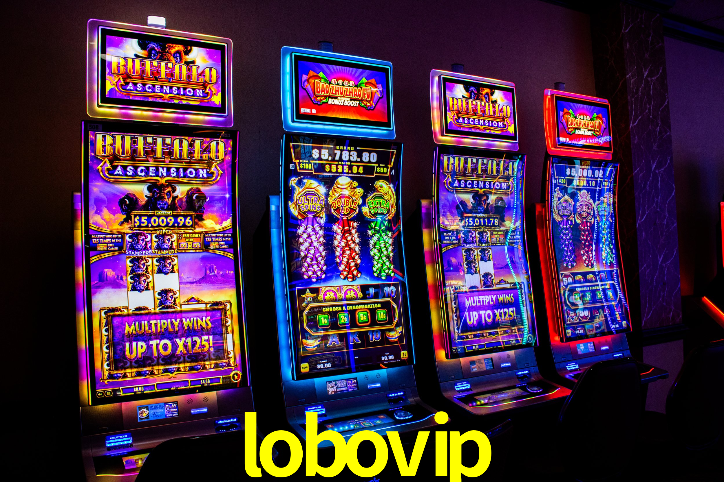 Sports Statistics lobovip