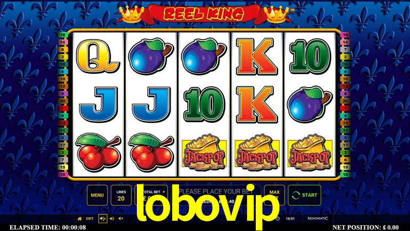 Basketball Betting lobovip