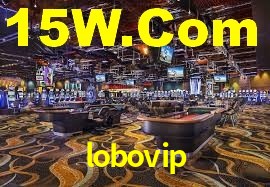 Experimente o Login Seguro Premium no lobovip